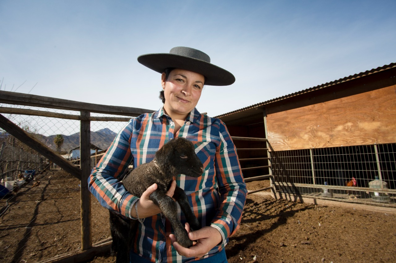 Mujeres Rurales: Protagonistas En La Sobrevivencia Y El Futuro Del ...